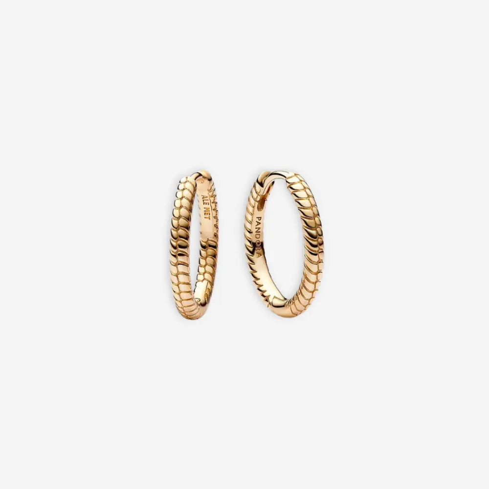 hoops
