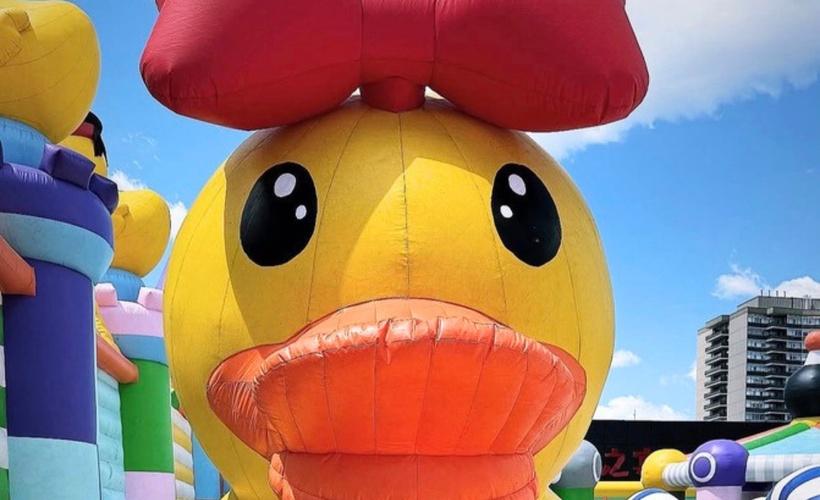 The Royal Duck Lands Soon