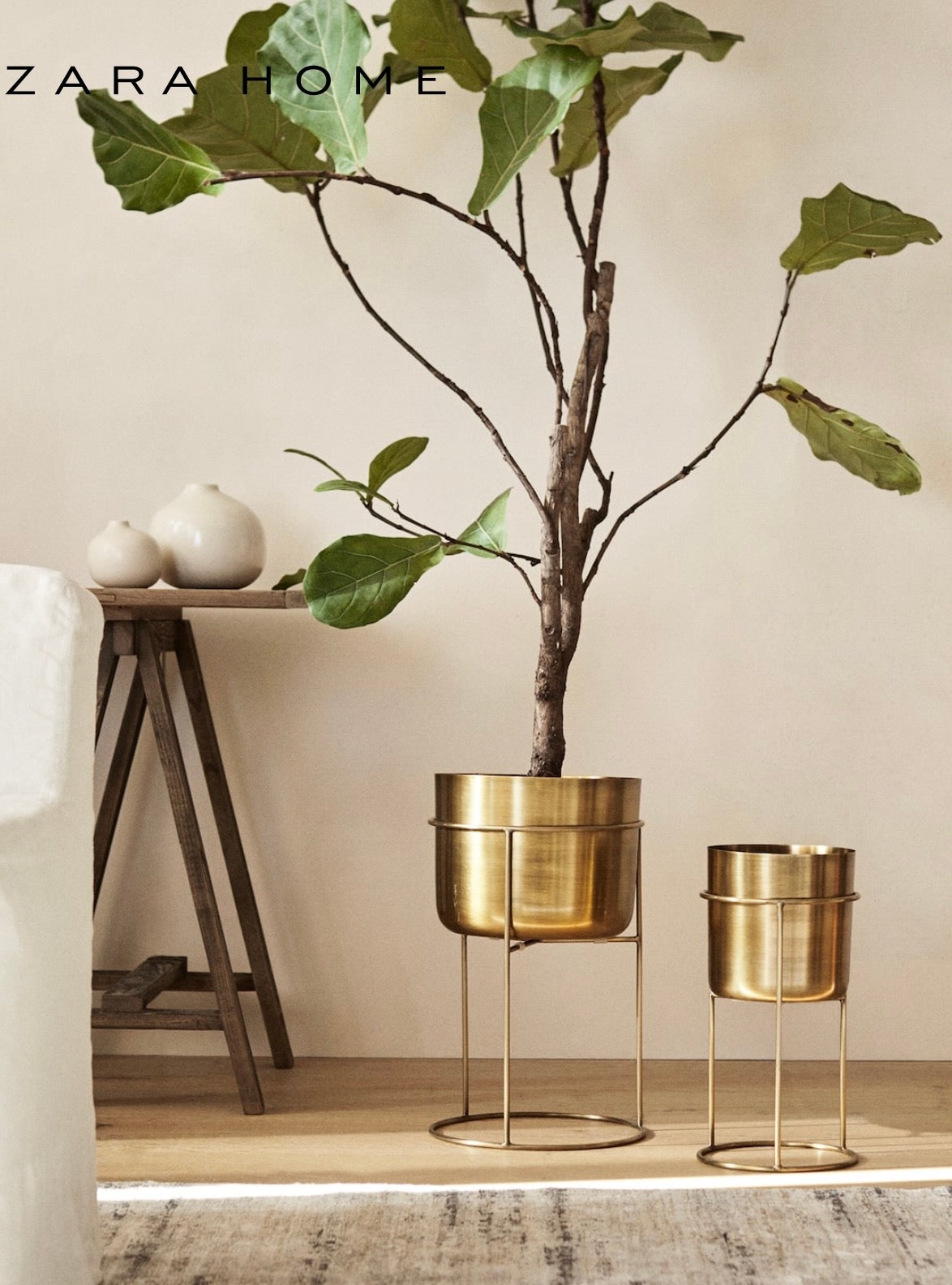 Gold plantar with Plant from Zara Home