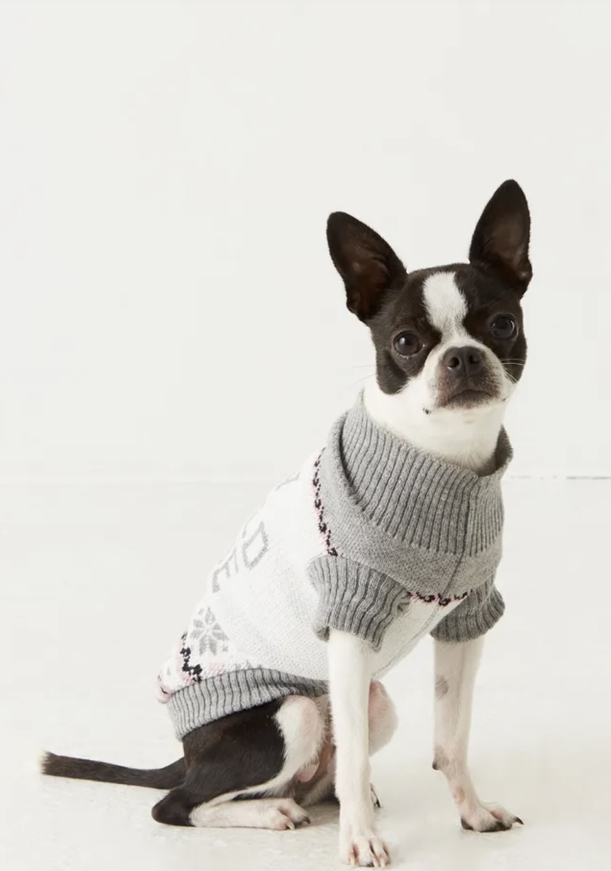 fair isle dog sweater from Urban Planet