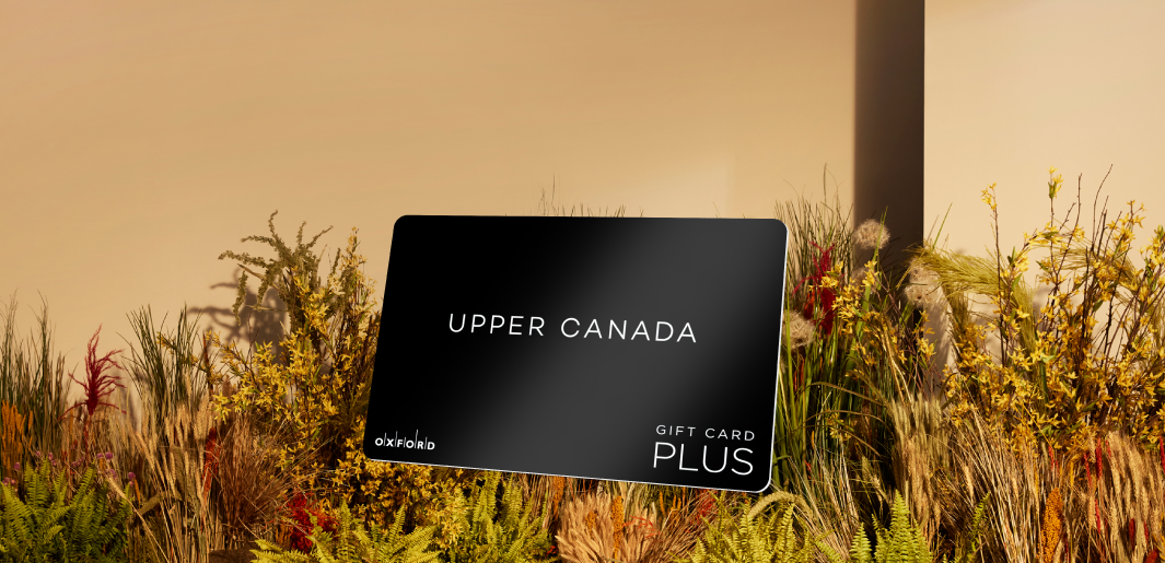 promotional image of a UCM gift card atop fall foliage